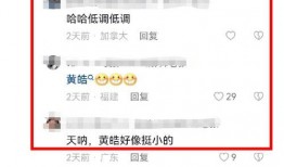 最新网友爆料,揭秘娱乐圈惊天秘密！